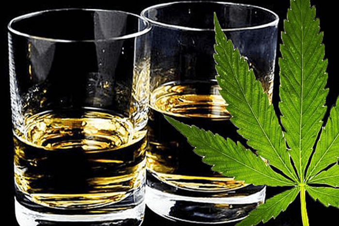 En este momento estás viendo Alcohol y marihuana, peligrosa combinación