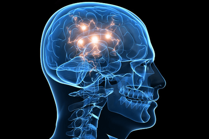 En este momento estás viendo ¿Por que las drogas crean más adicción que las recompensas naturales?