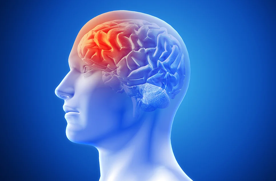 Lee más sobre el artículo Por qué nos volvemos adictos?