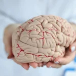 El efecto de las adicciones en la neuroinflamación