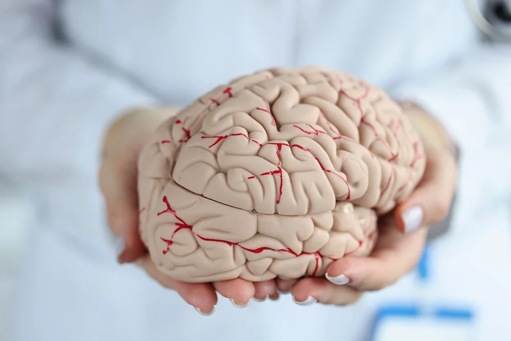 En este momento estás viendo El efecto de las adicciones en la neuroinflamación