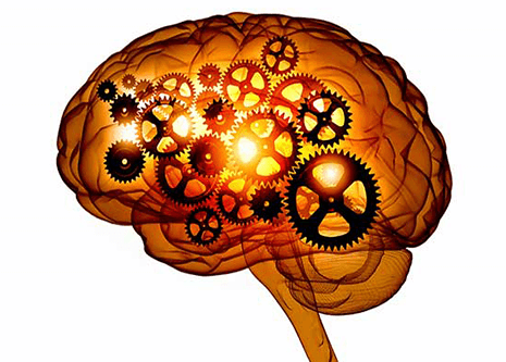 Més informació sobre l'article Per què perdem la memòria quan bebem massa?