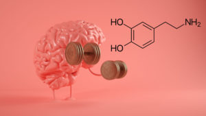 Més informació sobre l'article Com funciona l’addicció?