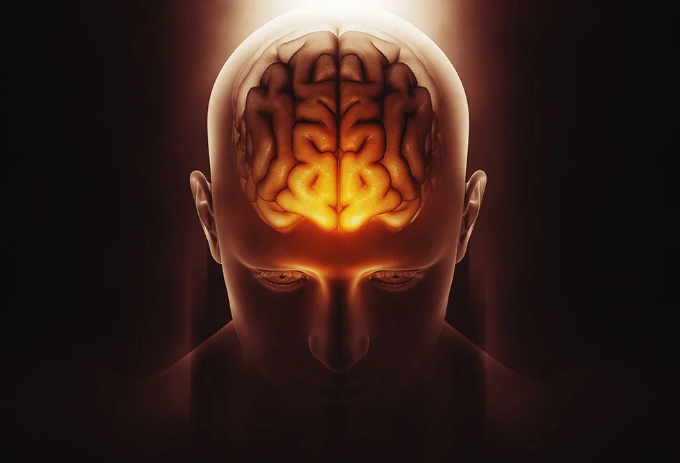 Lee más sobre el artículo El impacto de las adicciones: cambios cerebrales y repercusiones físicas