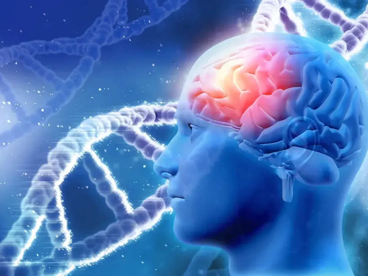 LAS DROGAS, image size:1200x900